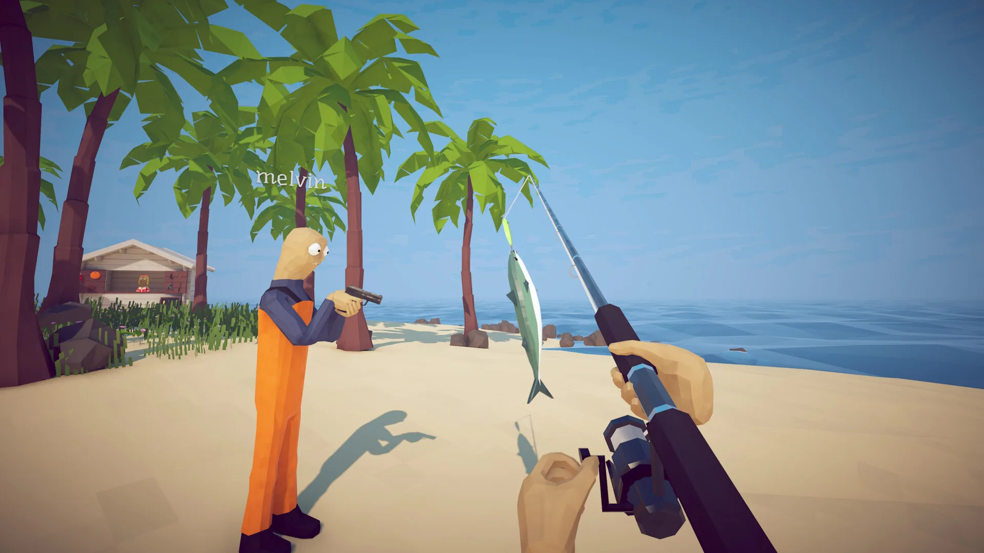 How to Fish catching fish on beach