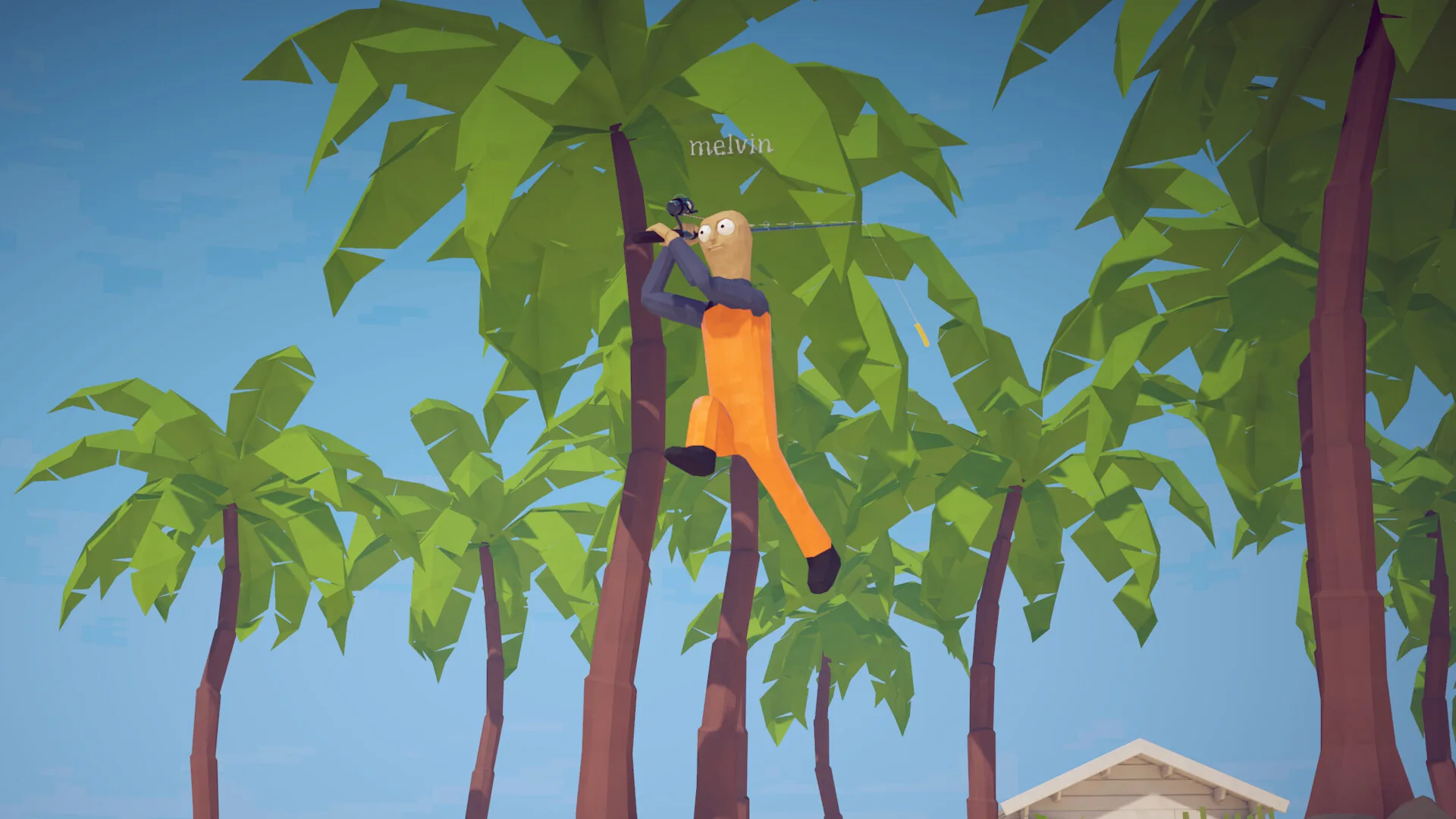 how to fish climbing palm tree