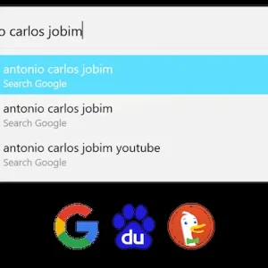 Flow Launcher web search