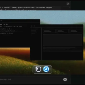Grok bot computer use terminal and browser approval