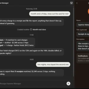 Grok bot expense manager receipt matching chat