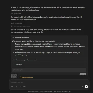 Manus asking a question mid-task