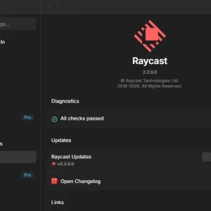Raycast settings about diagnostics