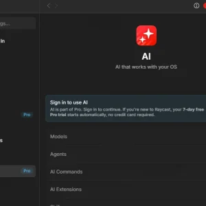 Raycast settings ai commands