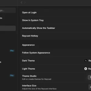 Raycast settings general appearance