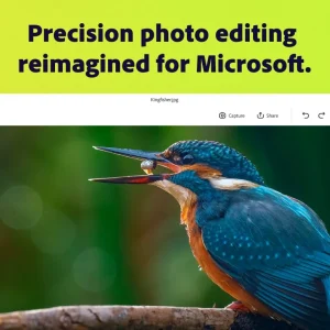 Adobe Express Photos light adjustments