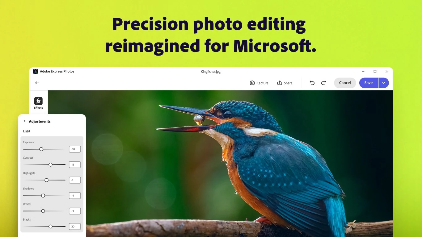 Adobe Express Photos Adjustments panel with exposure, contrast, highlights, shadows, whites and blacks sliders on a kingfisher photo