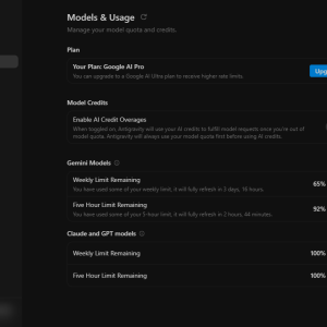 Antigravity Models and Usage settings