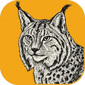 LightCraft icon