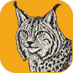 LightCraft app icon