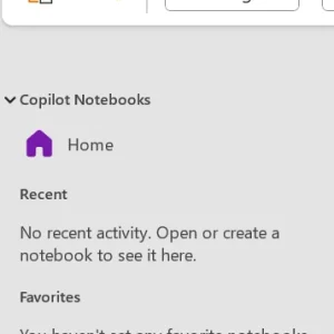 Copilot Notebooks section in OneNote