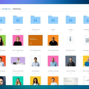 Dropbox Lite files view on Windows