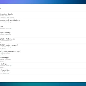 Dropbox Lite offline files