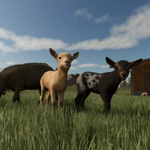 Farming Simulator 25 Goats and buffalo