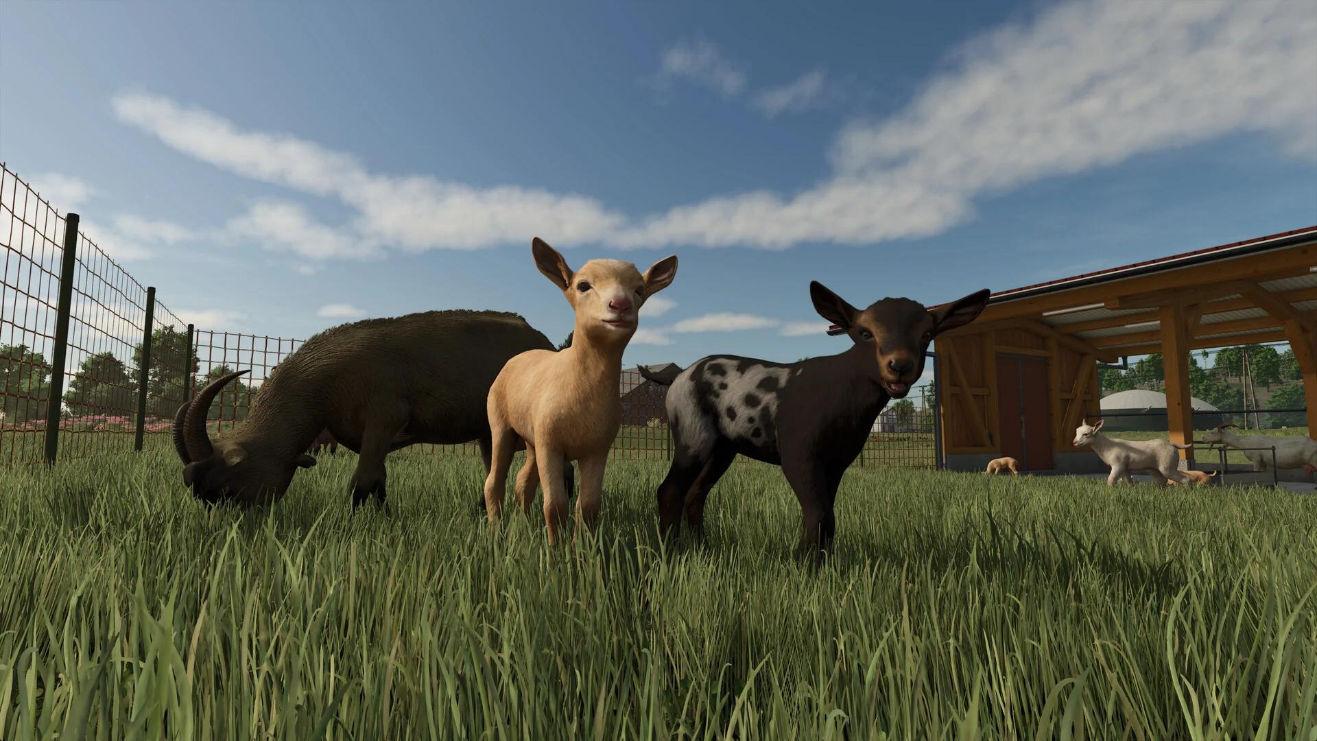 Two young goats and a water buffalo stand in a grassy fenced pasture in Farming Simulator 25