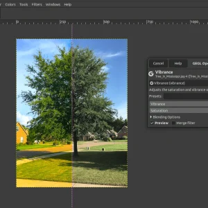 GIMP Vibrance filter with split view