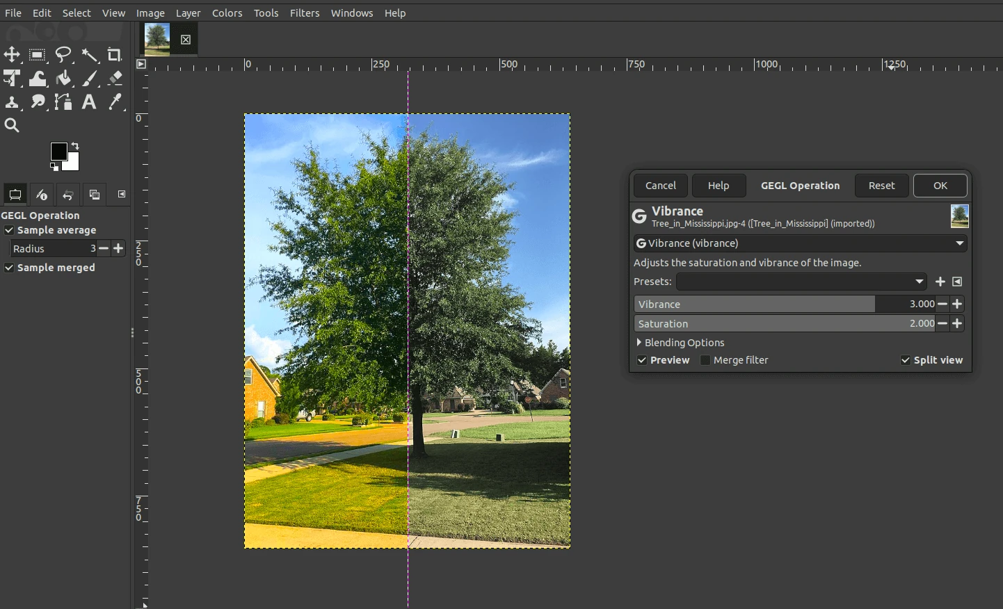 GIMP Vibrance filter dialog with split view turned on, showing a tree photo with boosted color on the left half and the original on the right half