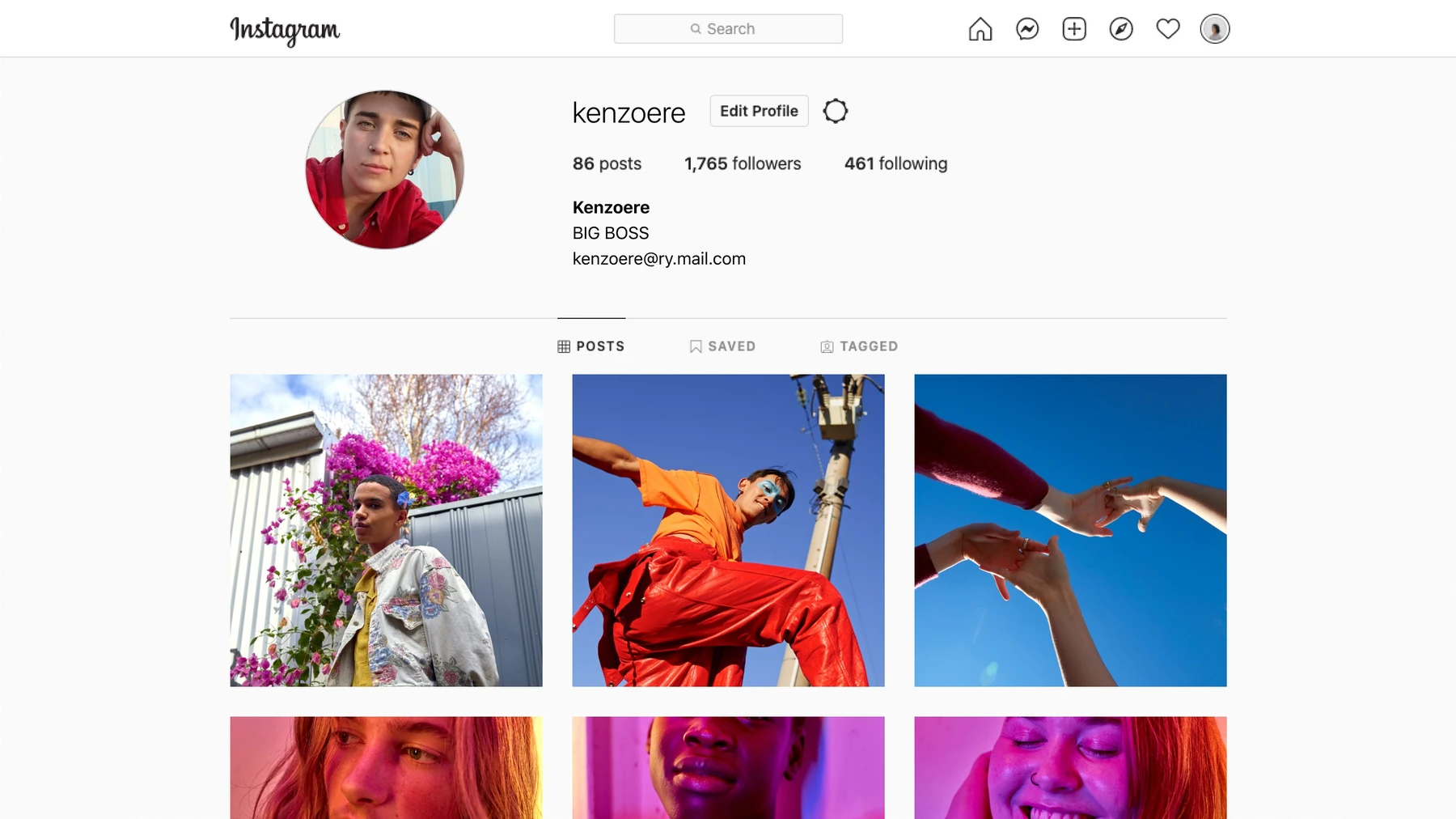 Instagram profile page on a PC with the profile picture, post and follower counts, an Edit Profile button and a grid of posts