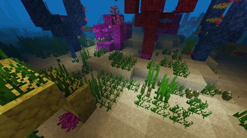Underwater Minecraft scene with coral, sea grass and sand rendered with the Sodium performance mod