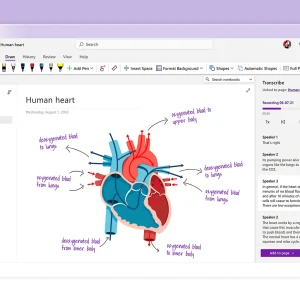 OneNote Transcribe pane
