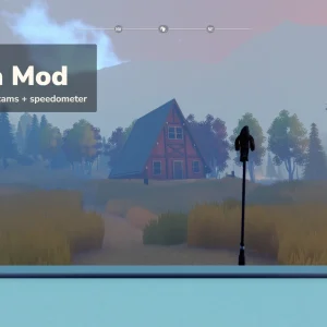 Camera Angles and Speedometer mod