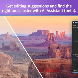 Photoshop Elements AI Assistant