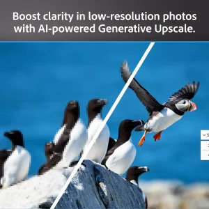 Photoshop Elements Generative Upscale