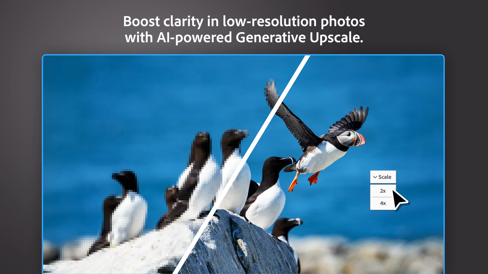 Split view of a pixelated photo of seabirds next to the sharp upscaled version, with a 2x and 4x scale menu