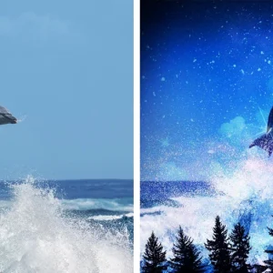 Pinnacle Studio blend modes before and after