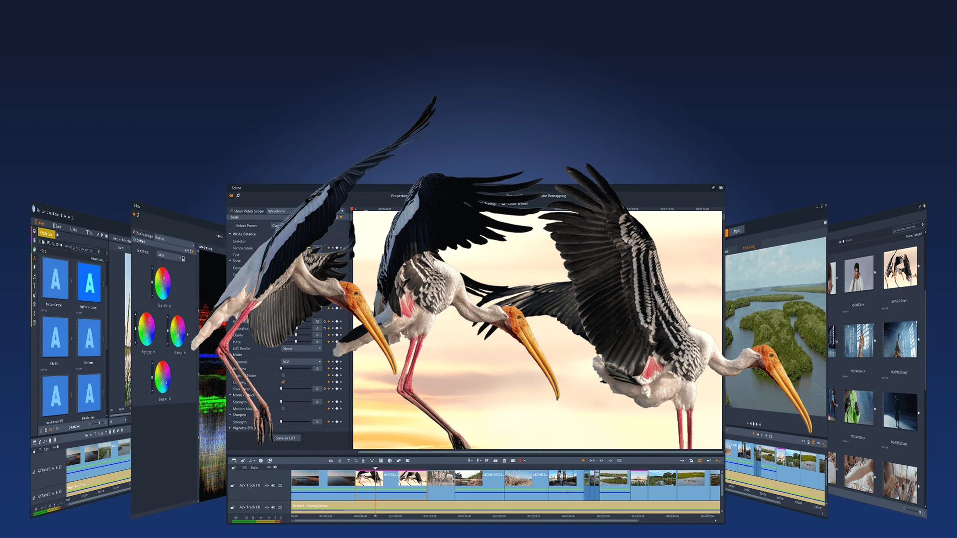 Pinnacle Studio editing windows fanned out on a dark blue background, the center window showing the color panel and timeline with three storks in flight