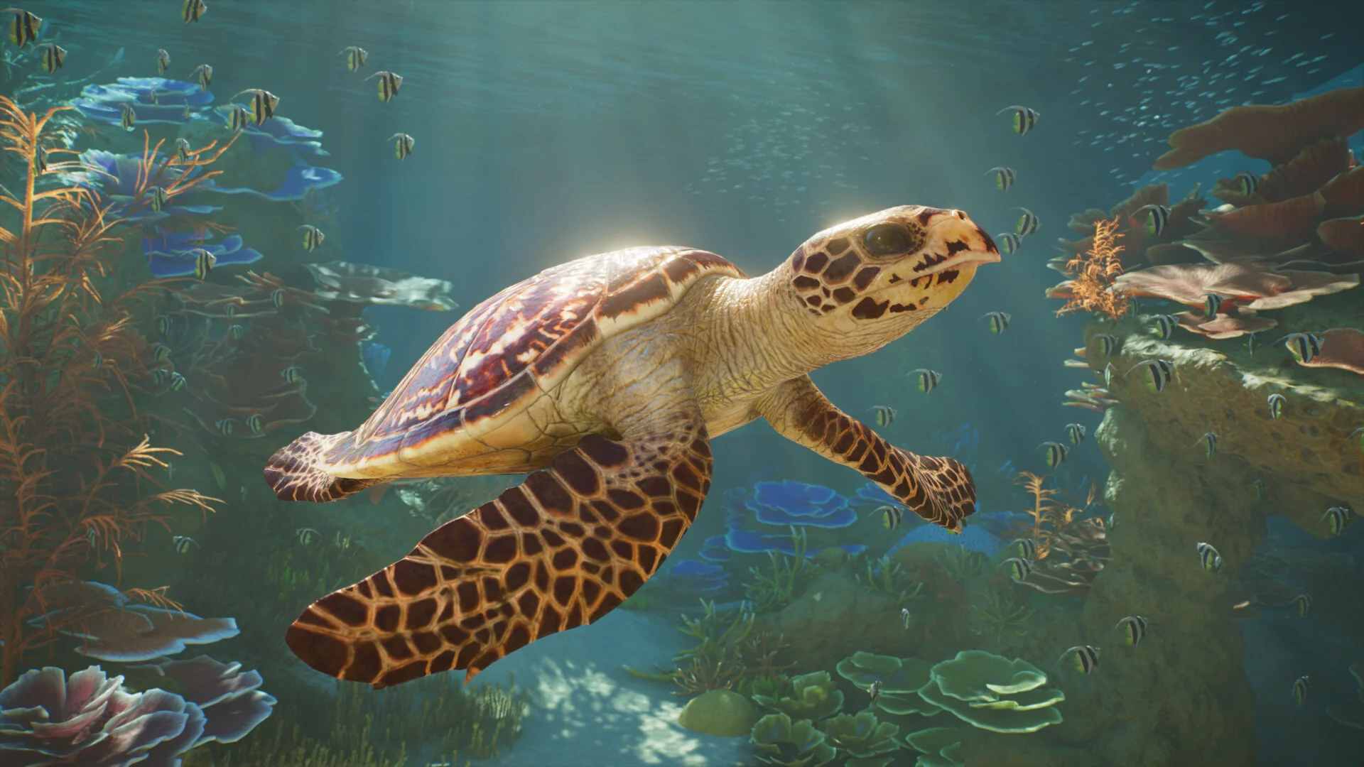 A Hawksbill Turtle swims over coral and seaweed inside a Planet Zoo 2 aquarium