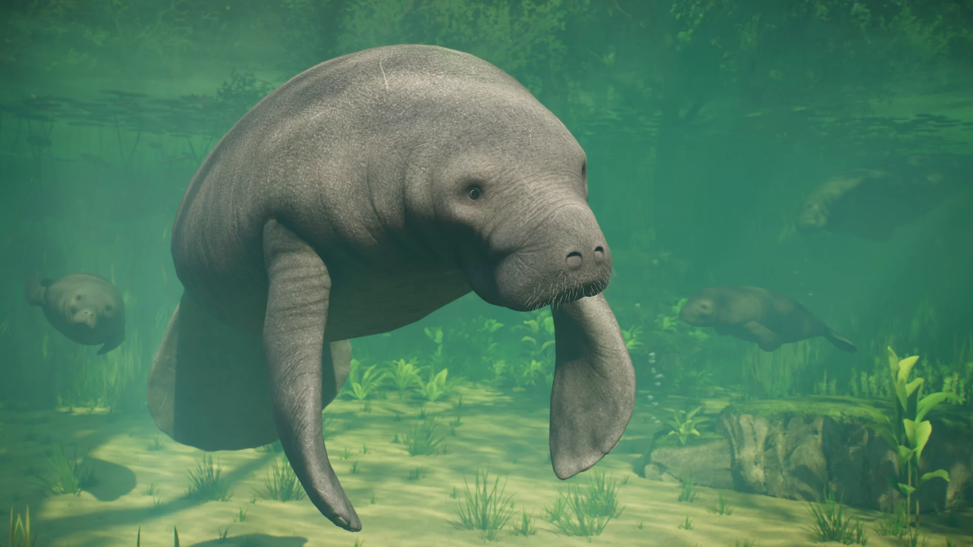 A manatee swims through green water in a Planet Zoo 2 aquarium
