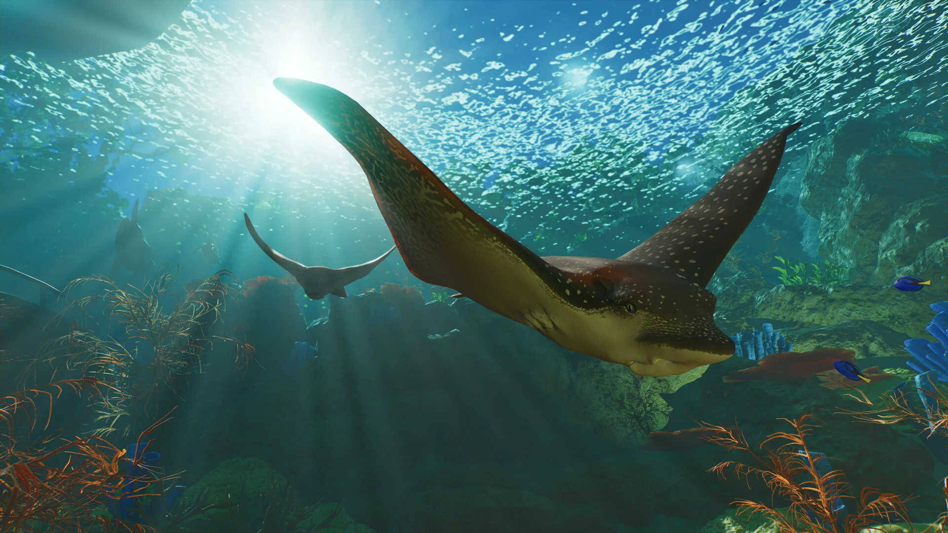 A large ray glides through sunlit blue water above a school of fish in a Planet Zoo 2 aquarium