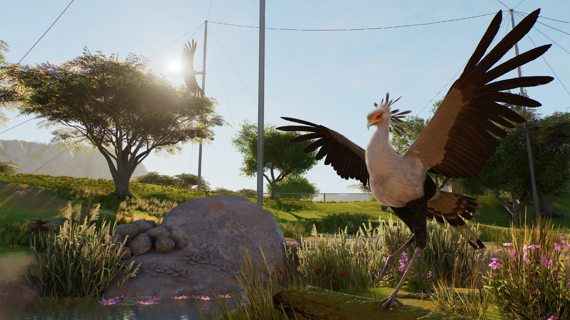 A Secretarybird spreads its wings on a grassy aviary floor in Planet Zoo 2, with acacia trees and mesh netting behind it