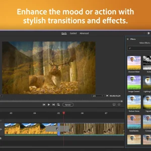 Premiere Elements effects panel