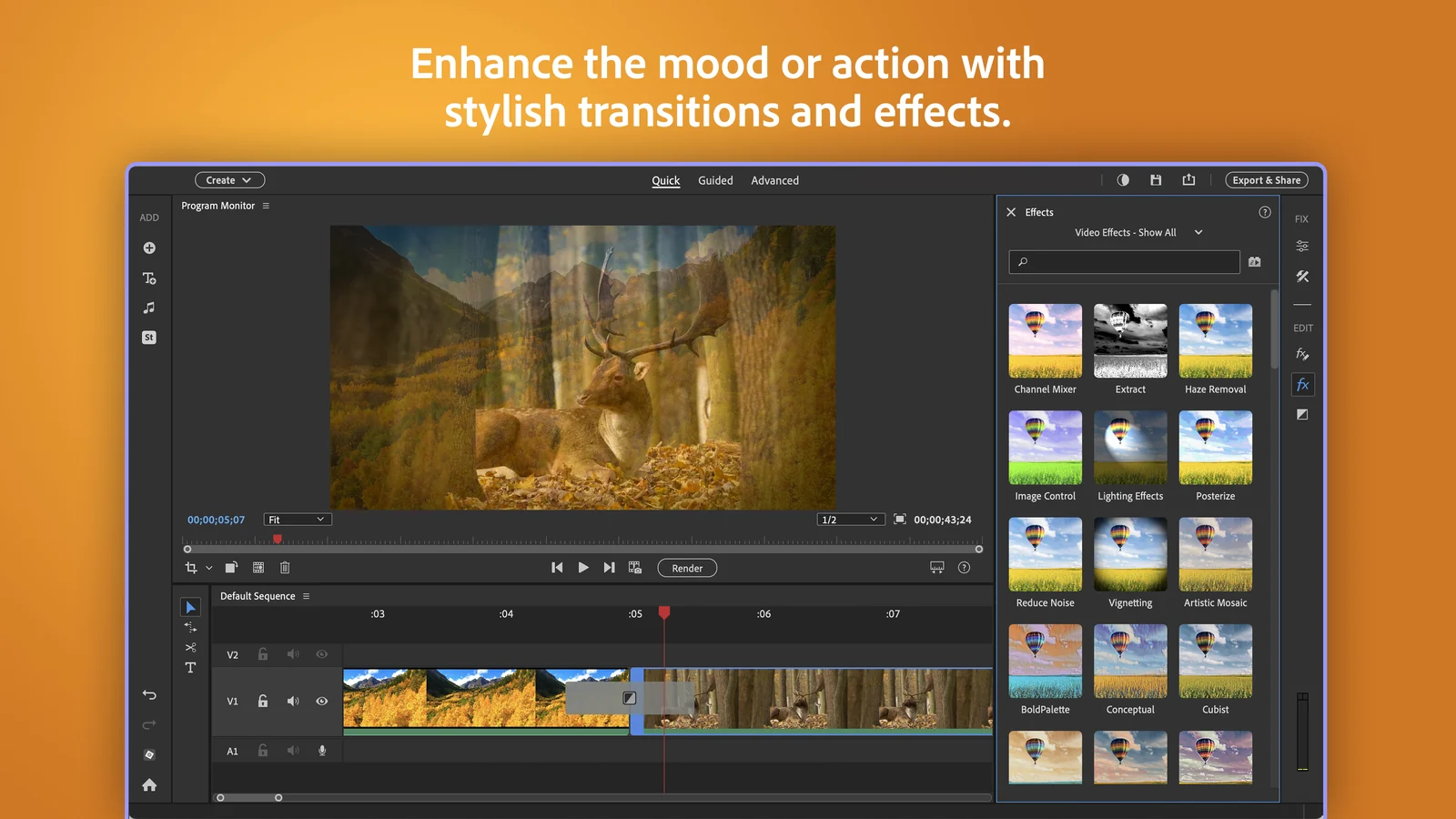 Premiere Elements Effects panel with Reduce Noise, Vignetting and other video effects beside a deer clip with a crossfade transition on the timeline
