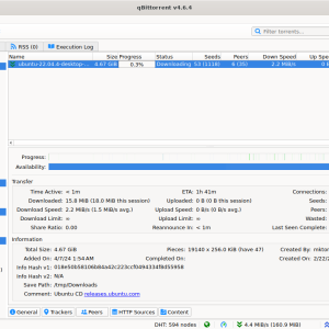 qBittorrent main window