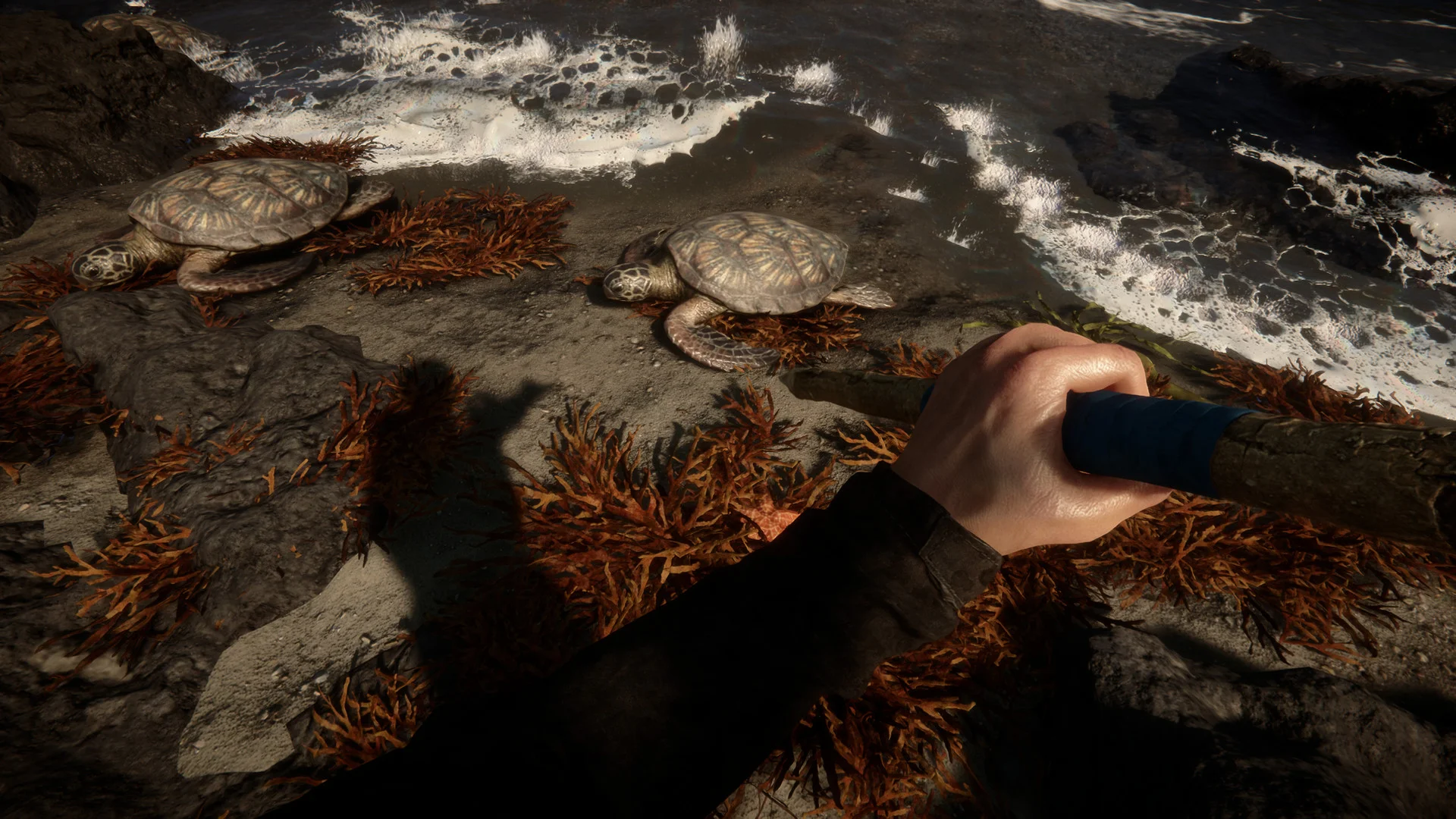 First-person view with a spear above two sea turtles resting on a rocky shoreline as waves break