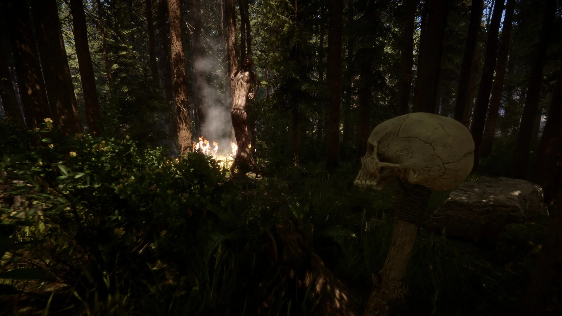 A skull on a stake in front of a burning tree in a dark redwood forest