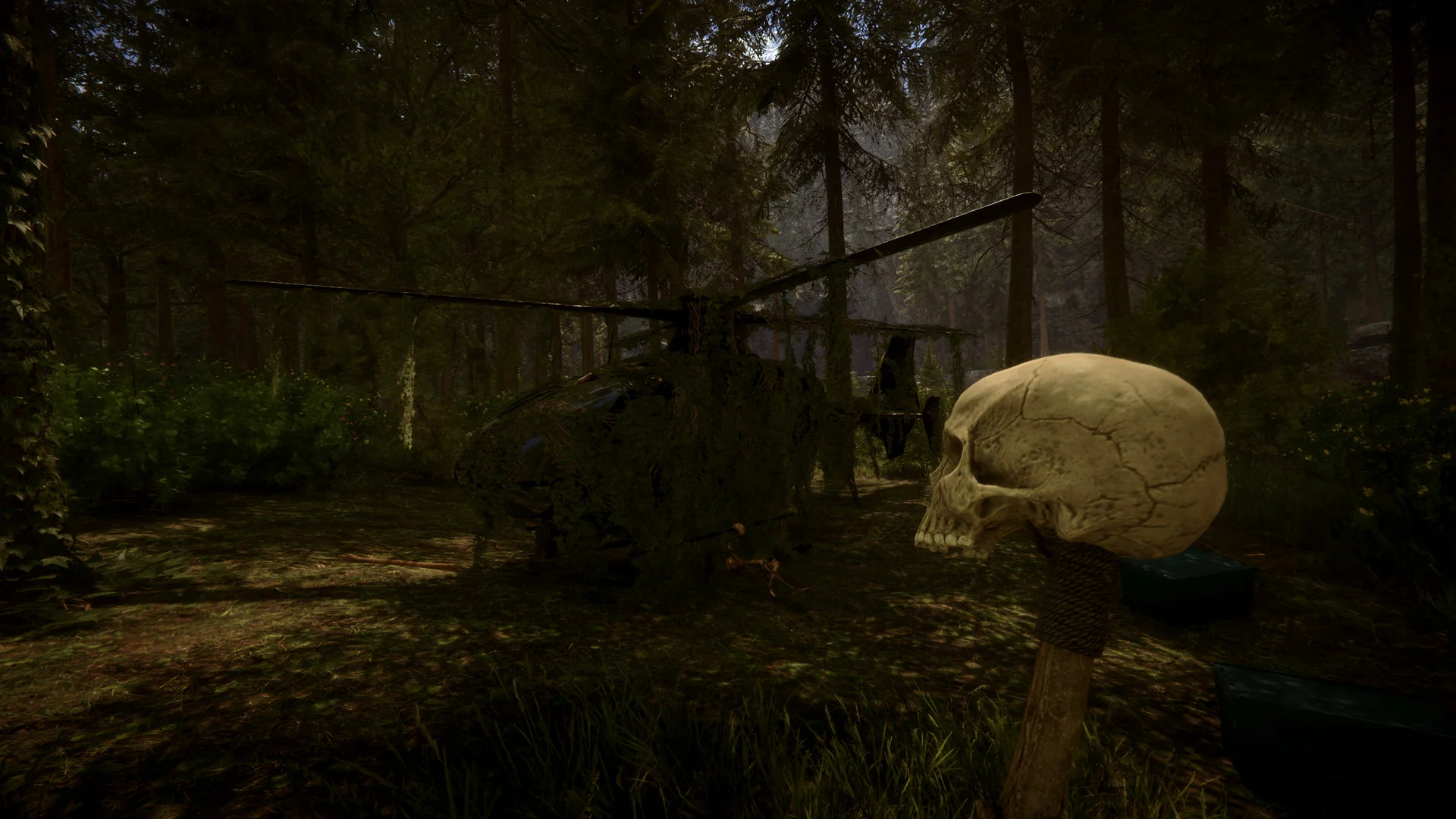A human skull on a wooden stake in a dark forest, with the wreck of a helicopter behind it