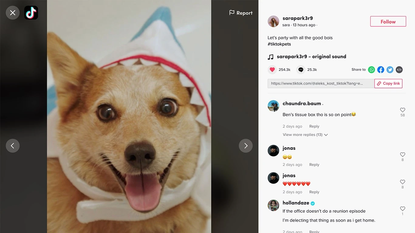 TikTok for PC: Install, Upload & Go LIVE on Windows - Windows Mode