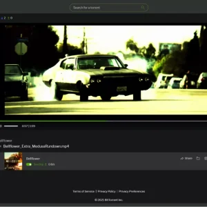 uTorrent Web player