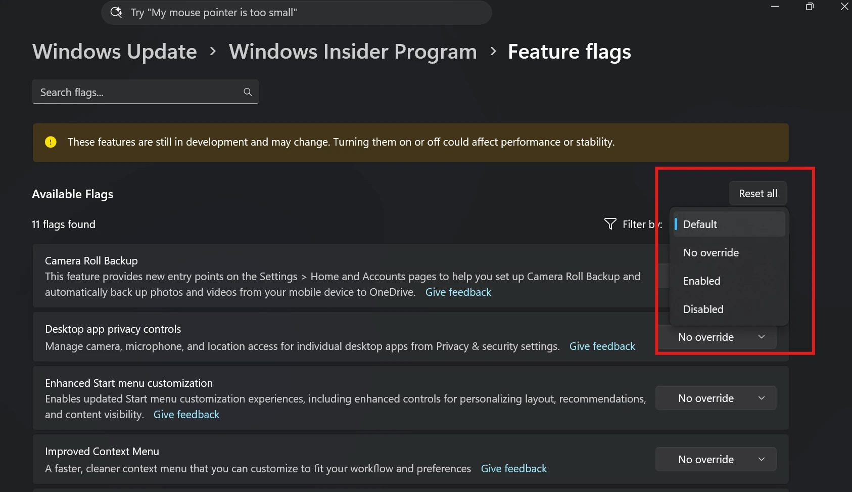 Windows Insider Program settings page with Feature flags filtered by enablement state