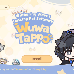 Wuwa Tappo installer